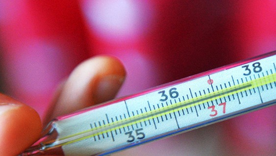 В Чехии свирепствует массовая эпидемия гриппа